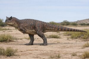 Carnotaurus sastrei in full lateral profile showing short deep skull with supraorbital horn cores and reduced forelimbs on a semi-arid Patagonian floodplain